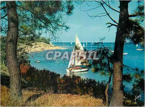 Cartes postales moderne Ile de R� (Charente Maritime) Le Plage de Trousse Chemise et La pointe du Fier d'Ars Couleurs et