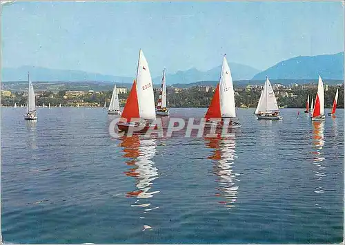 Cartes postales moderne Regares sur le Leman