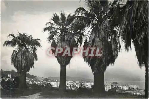 Cartes postales moderne Ajaccio Vue des Jardins Berthaut