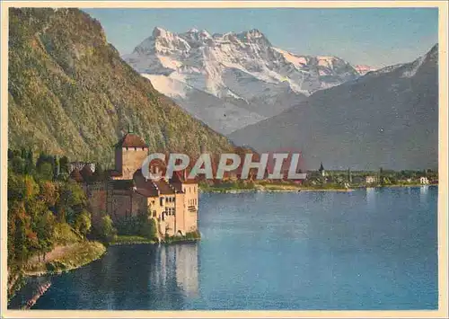 Cartes postales moderne Chateau de Chillon et Dents du Midi