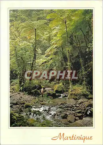 Cartes postales moderne La martinique ajoupa bouillon les gorges de la falaise