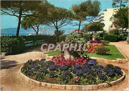 Cartes postales moderne Juan les pins et ses jardins fleuris cote d azur