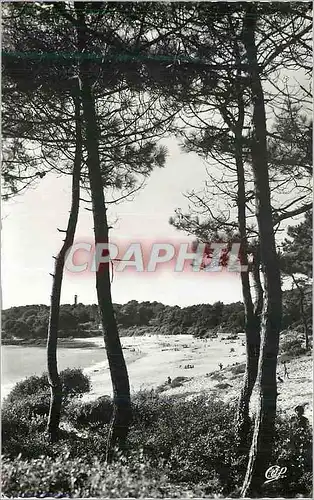 Cartes postales moderne Saint palais sur mer plage du platin et les pins