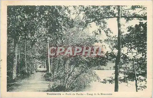 Cartes postales Tourouvre foret du perche etang de la moussette