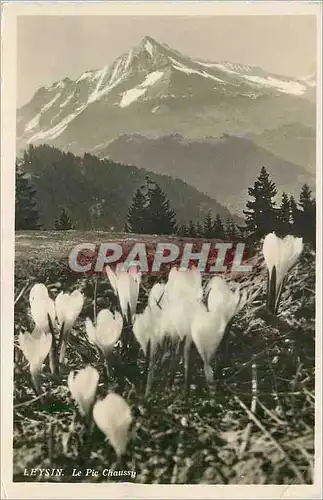 Cartes postales moderne Leysin le pic chaussg