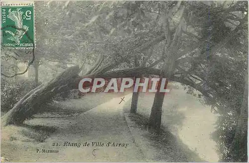 Cartes postales Etang de Ville de Avray