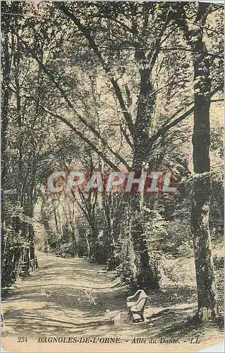 Cartes postales Bagnoles de L Orne Allee du Danse