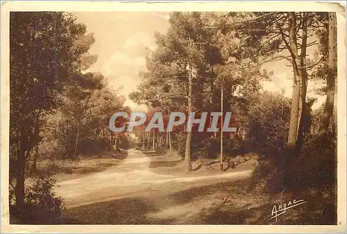 Cartes postales moderne Ile d Oleron Saint Trojan La Foret