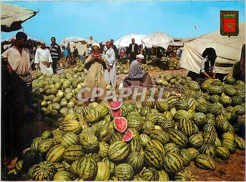 Cartes postales moderne Marruecos Tipico Typical Morocco Grand Bocco