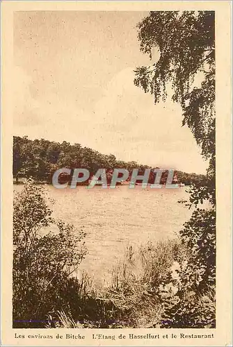 Cartes postales Les environs de Bitche L Etang de Hasselfurth et le Restaurant