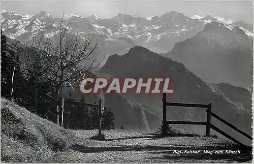 Cartes postales moderne Rigi Kaltbad Weg zum Kanzeli