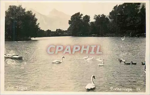 Cartes postales moderne Parkanlage Cygnes