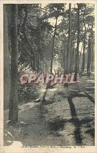 Cartes postales Kluisberg L'Enclus dans le Bois