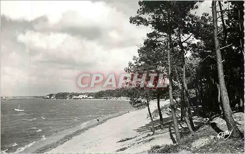 Cartes postales moderne Ronce Les Bains (Charente Maritime) La Plage