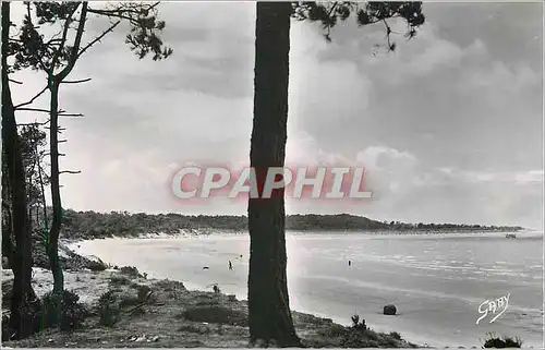 Cartes postales moderne Ronce les Bains (Ch Mme) Le Galon d'Or et la Pointe Espagnole