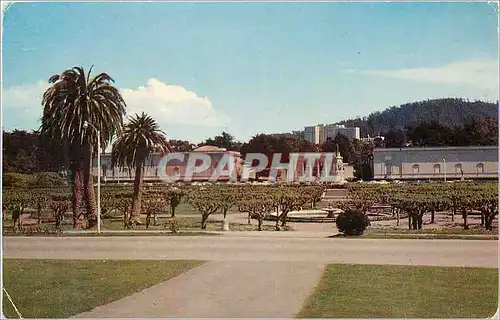 Cartes postales moderne California Academy of Sciences California Academ of Sciences Building located in San Francisco's