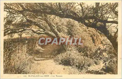 Cartes postales St Palais sur Mer Les Yeuses