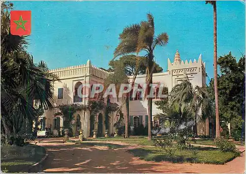 Cartes postales moderne Tanger