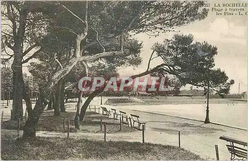 Cartes postales La Rochelle La Plage a travers Les Pins