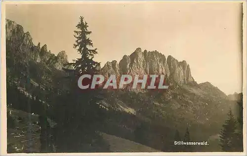 Cartes postales moderne Stillwasserwald