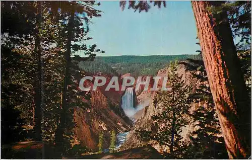 Cartes postales moderne Lowers Falls Yellowstone Rivers
