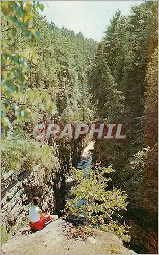 Cartes postales moderne Ausable Chasm NY A Bird's Eye view Showing the Depth of Famous Ausable Chasm NY