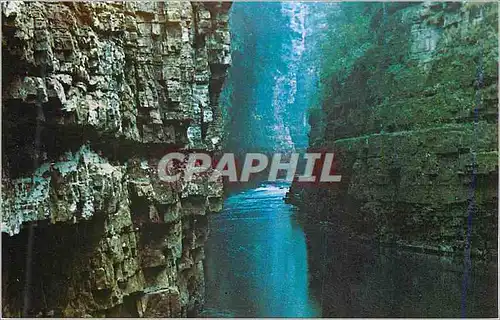 Cartes postales moderne Ausable Chasm New York