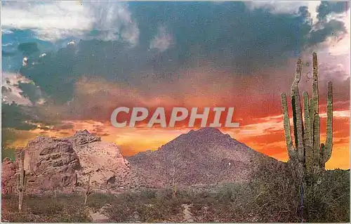 Cartes postales moderne Valley of the Sun Surrounding Phoenix Spectacular Sunrise Over Camelback Mountain