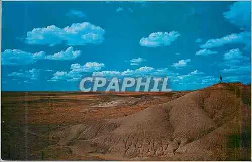Cartes postales moderne Arizona's Painted Desert