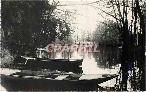 Cartes postales moderne Vermenton (Yonne) Les Bords de la Cure