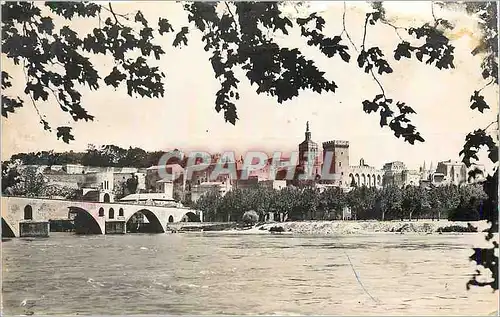 Cartes postales moderne Avignon Pont Saint Benezet