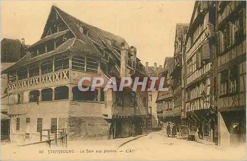 Cartes postales Strasbourg Le Bain aux plantes CAP