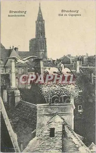 Cartes postales Strasbourg Nid de Cigognes