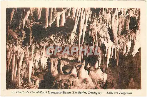 Cartes postales Grotte du grand roc a laugerie basse (les eyzies dordogne) salle des pingouins