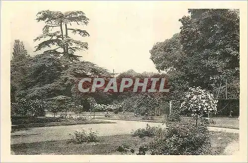 Cartes postales Chateau de Malmaison Roseraie et Cedre de Marengo