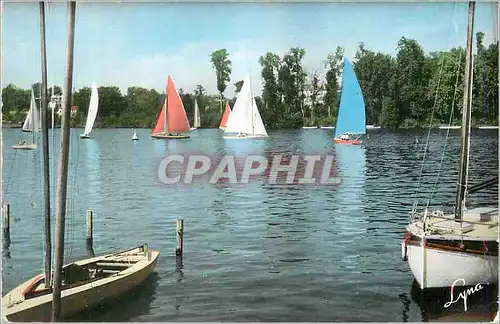 Cartes postales moderne Bords de Seine Les Voiliers Bateaux