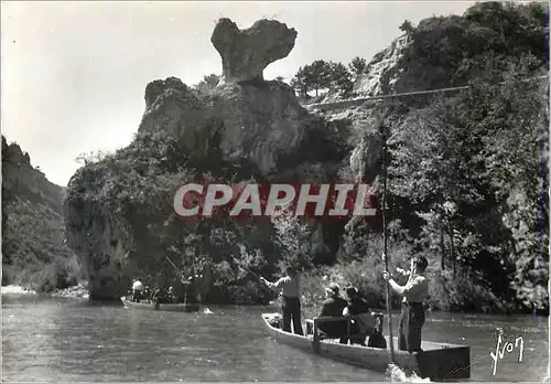 Cartes postales moderne Gorges du Tarn Environs de la Malene (Lozere) Rochers du Champignon