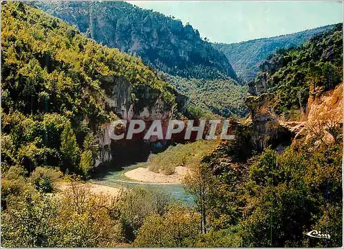 Cartes postales moderne Les Gorges du Tarn Les Beaux Sites de la Lozere Le Champignon