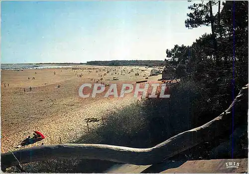 Cartes postales moderne Ile d'Oleron St Trojan La Plage de Gatseau