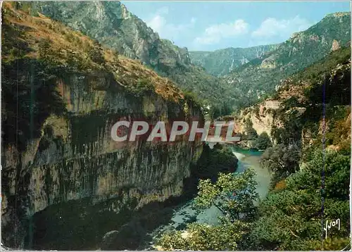 Cartes postales moderne Les Gorges du Tarn (Lozere) Couleurs et Lumiere de France Sortie des Detroits vers les Baumes