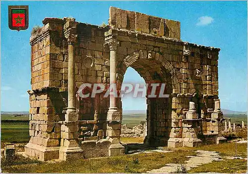 Cartes postales moderne Volubilis Arc de Triomphe de Caracalla