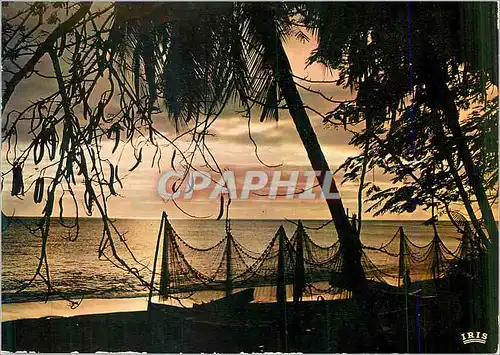 Cartes postales moderne Antilles Radieuses Coucher du Soleil