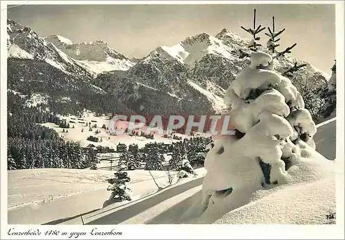 Cartes postales moderne Lenzerheide 1480 m Gegen Lenzerborn