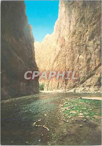 Cartes postales moderne Tinghir Gorge Todra