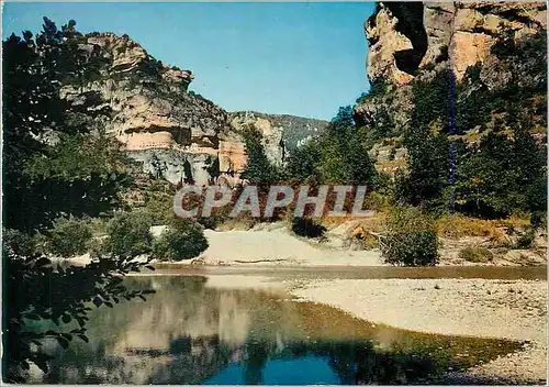 Cartes postales moderne Circuit des Gorges du Tarn et de la Jonte (Lozere) Le Tarn aux Baumes Basses