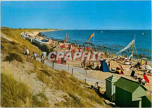 Cartes postales moderne Ile de Re le Bois (Charente Mme) la Plage