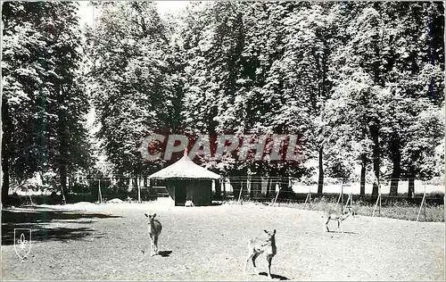 Cartes postales moderne Pougues les Eaux (Nievre) Parc de l'Etablissement Thermal Les Daims