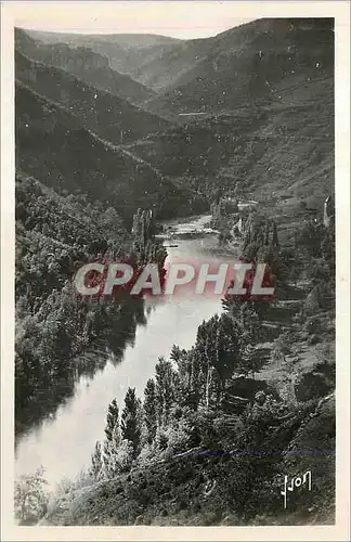 Cartes postales moderne Gorges du Tarn Prades (Lozere) Les Rives du Tarn