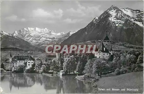 Cartes postales moderne Spiez mit Niesen und Blumlisalp