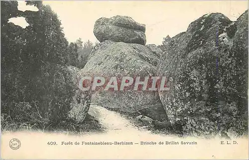 Cartes postales Foret de Fontainebleau Barbizon Brioche de Brillant Savarin